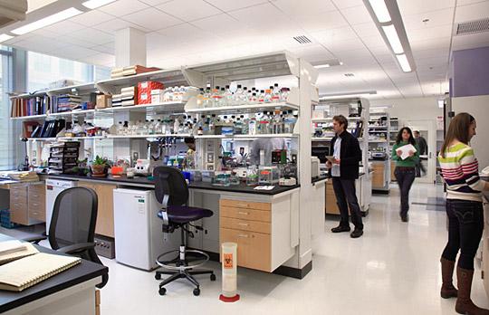 MIT Koch Institute